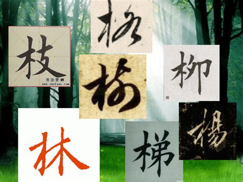 7劃的字屬木|木字旁7画的字